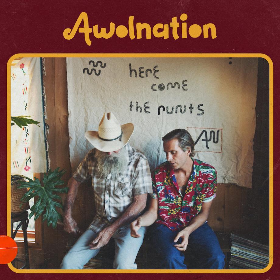 Awolnation Here Come The Runts Cover
