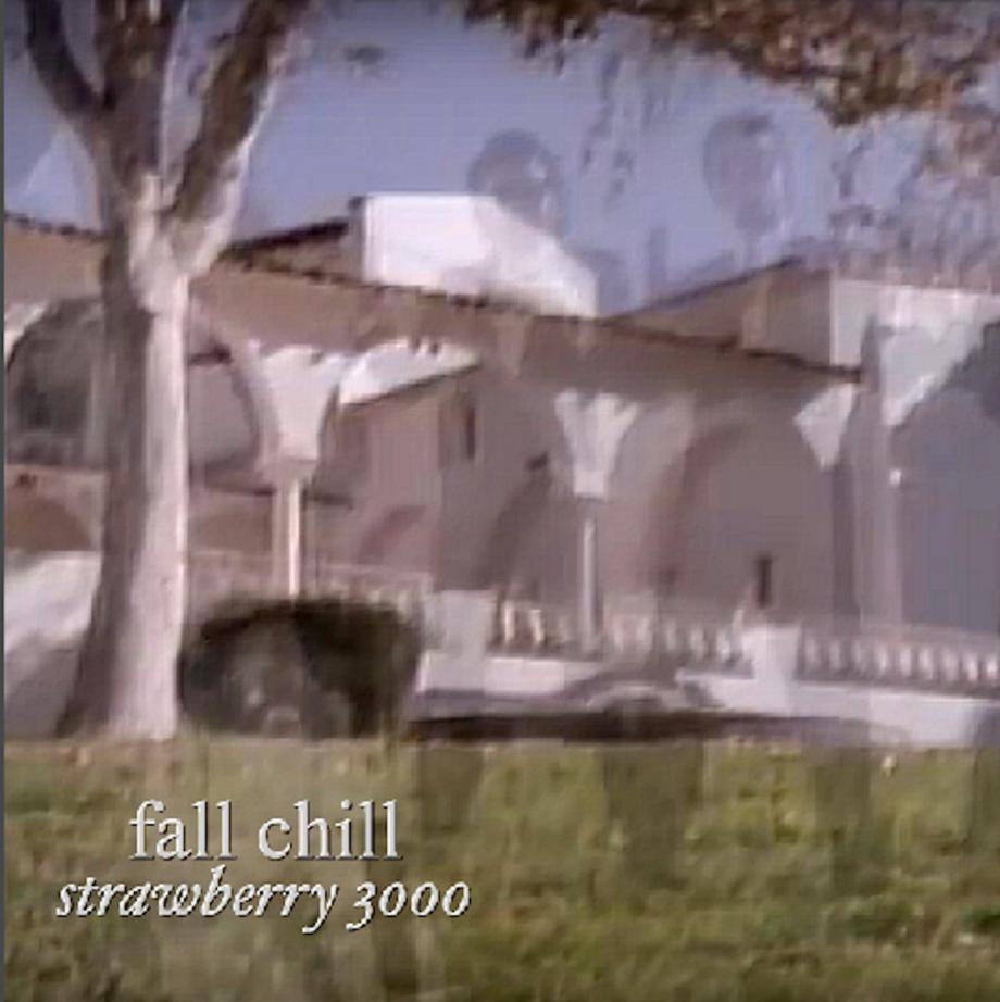 Strawberry 3000 fall chill Cover