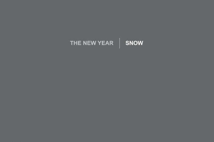 The New Year - "Snow" Cover