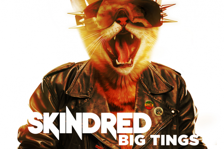 Skindred Big Tings Cover